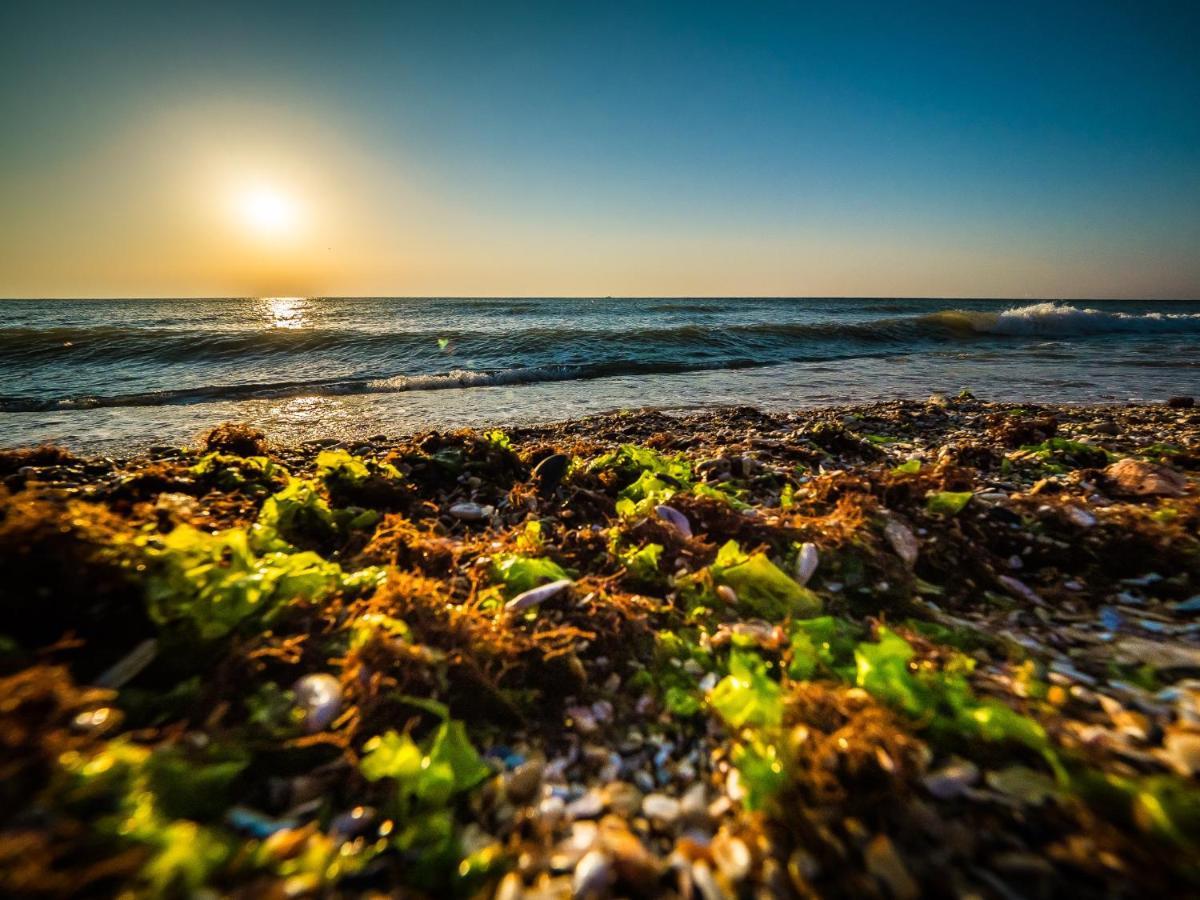 Casa Nikita Hotel Vama Veche Kültér fotó