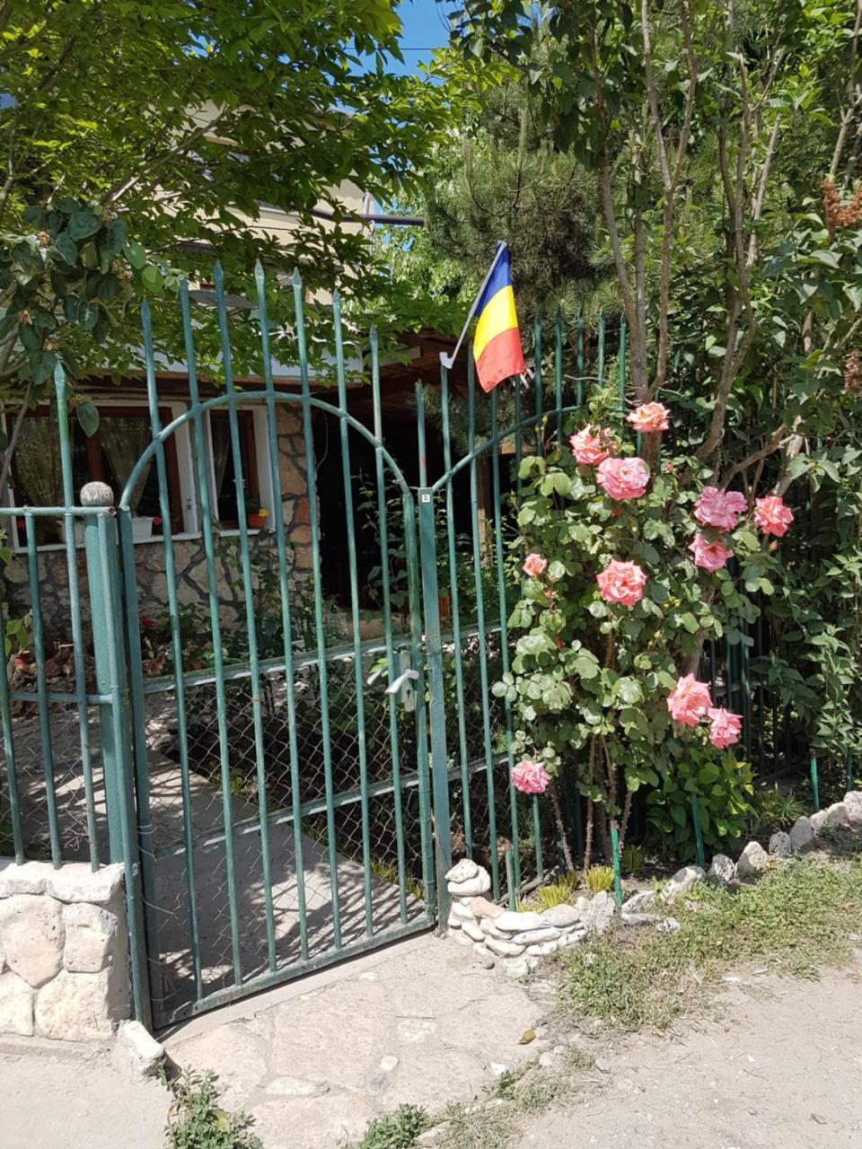 Casa Nikita Hotel Vama Veche Kültér fotó