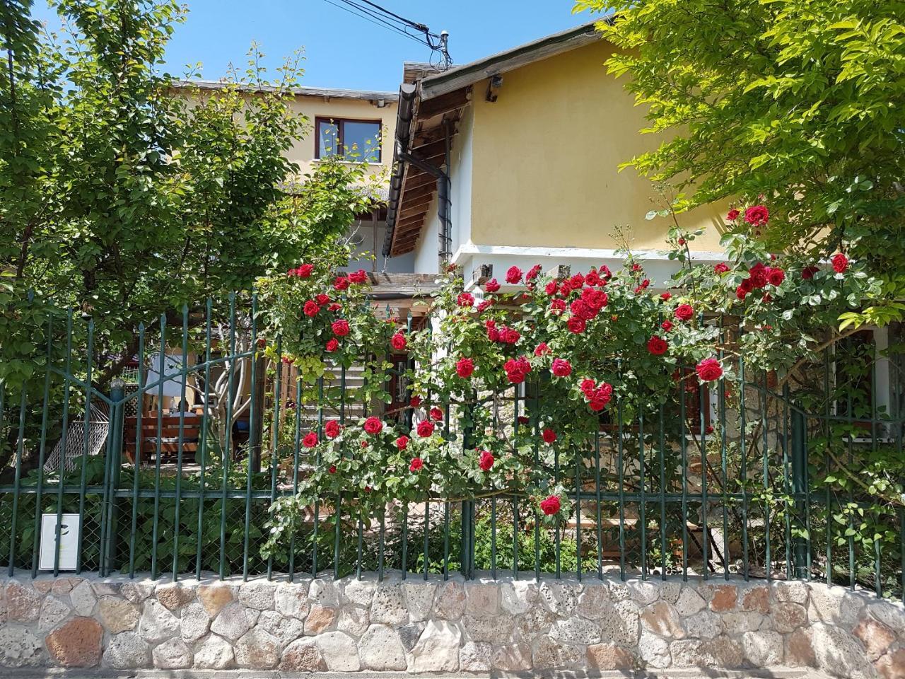 Casa Nikita Hotel Vama Veche Kültér fotó